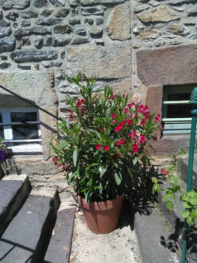 Ferienwohnung Le Refuge Des Alpes Mancelles Fresnay-sur-Sarthe Exterior foto